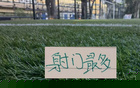 申花上半年遭遇伤病困扰阵容残缺，却在射门次数上领跑中超联赛，令人意想不到的强势表现引发关注