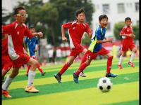 奥地利VS突尼斯直播_奥地利VS突尼斯免费直播在线直播