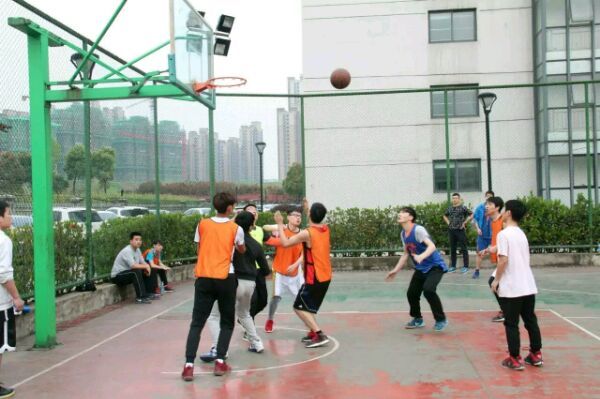 奥地利VS突尼斯直播_奥地利VS突尼斯免费直播在线直播