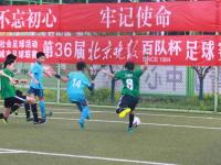 美国VS塞内加尔直播_美国VS塞内加尔免费直播在线直播